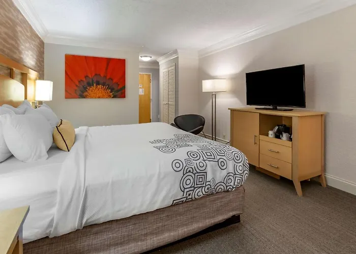 Hotel Western 4*