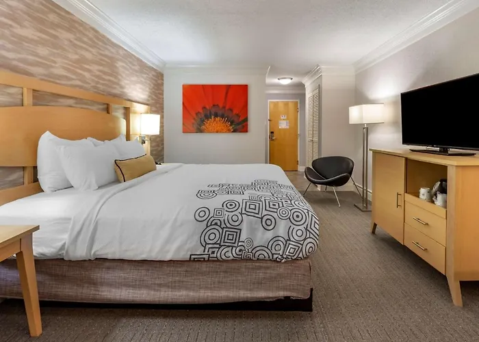 Western Hotel 4*