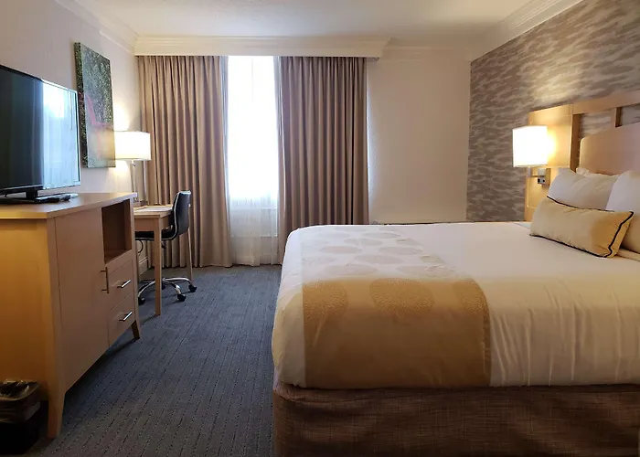 Western Hotel 4*