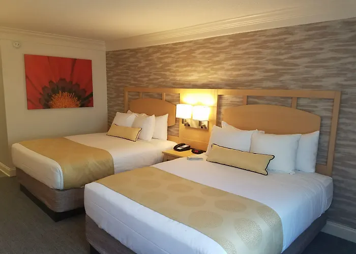 Western Hotel 4*